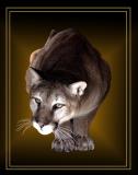 MountLion.jpg